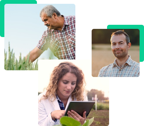 Grupo de imagens de pessoas em campos agropecuários