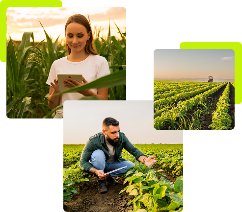 Grupo de imagens de pessoas em campos agropecuários