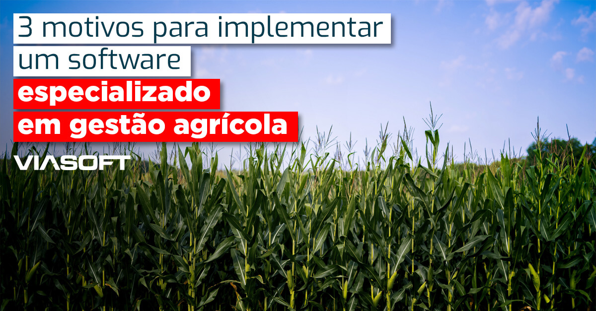 3 motivos para implementar um software especializado em gestão agrícola