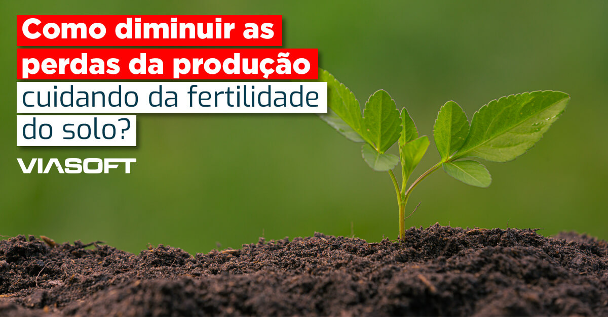 Como diminuir as perdas da produção cuidando da fertilidade do solo?