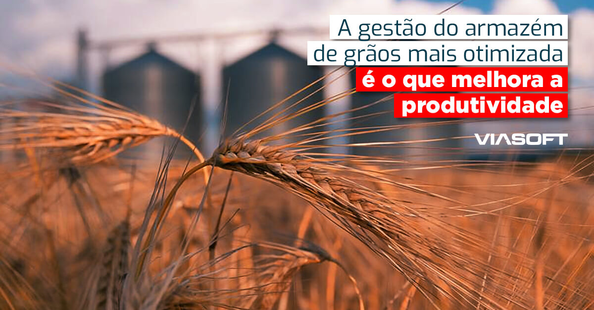 A gestão do armazém de grãos mais otimizada é o que melhora a produtividade