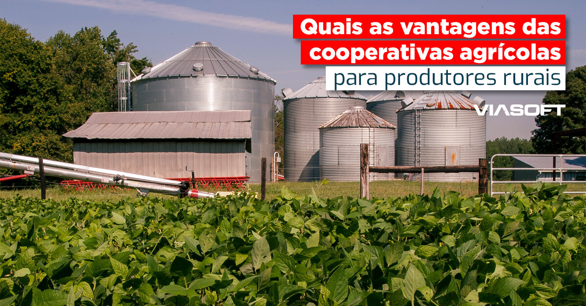 Quais as vantagens das cooperativas agrícolas para produtores rurais?