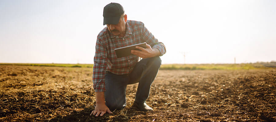 CRM no agronegócio: a chave para deixar de perder dinheiro e ganhar clientes