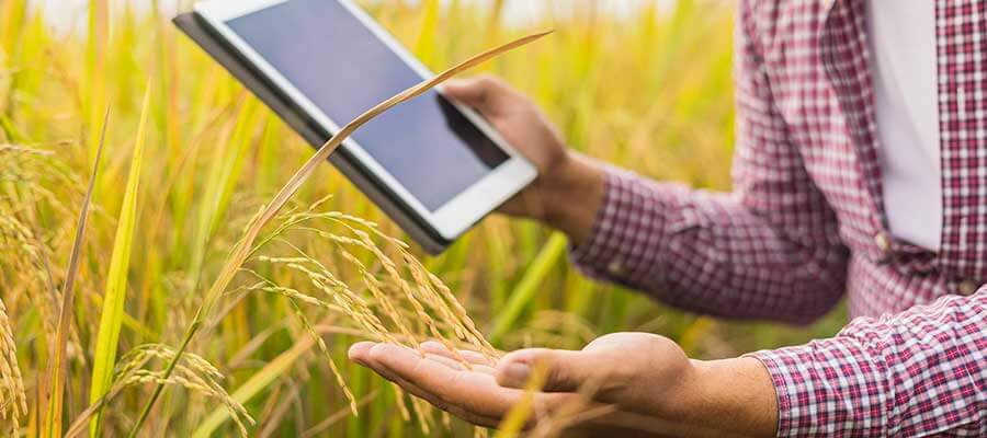 Já passou da hora de combinar assinatura digital e receituário agronômico