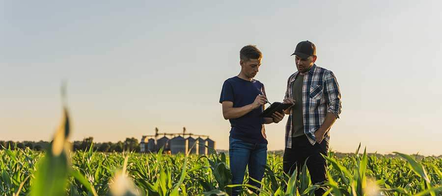 Como parar de perder dinheiro e garantir o crescimento sustentável do agronegócio