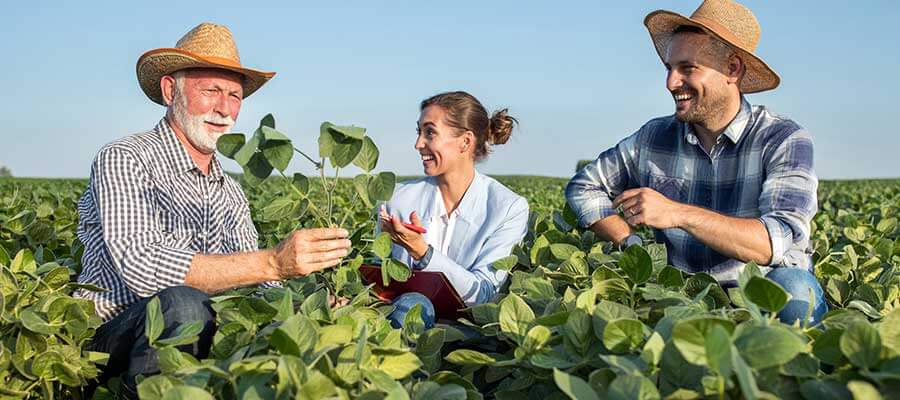 Holding rural: o escudo invisível que pode salvar sua empresa