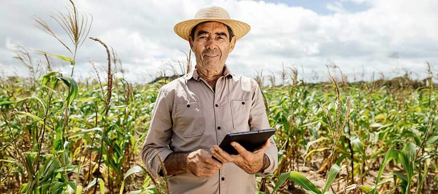 Big Data no agronegócio: o setor não vai esperar você acordar