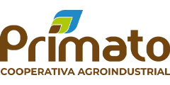 Primato