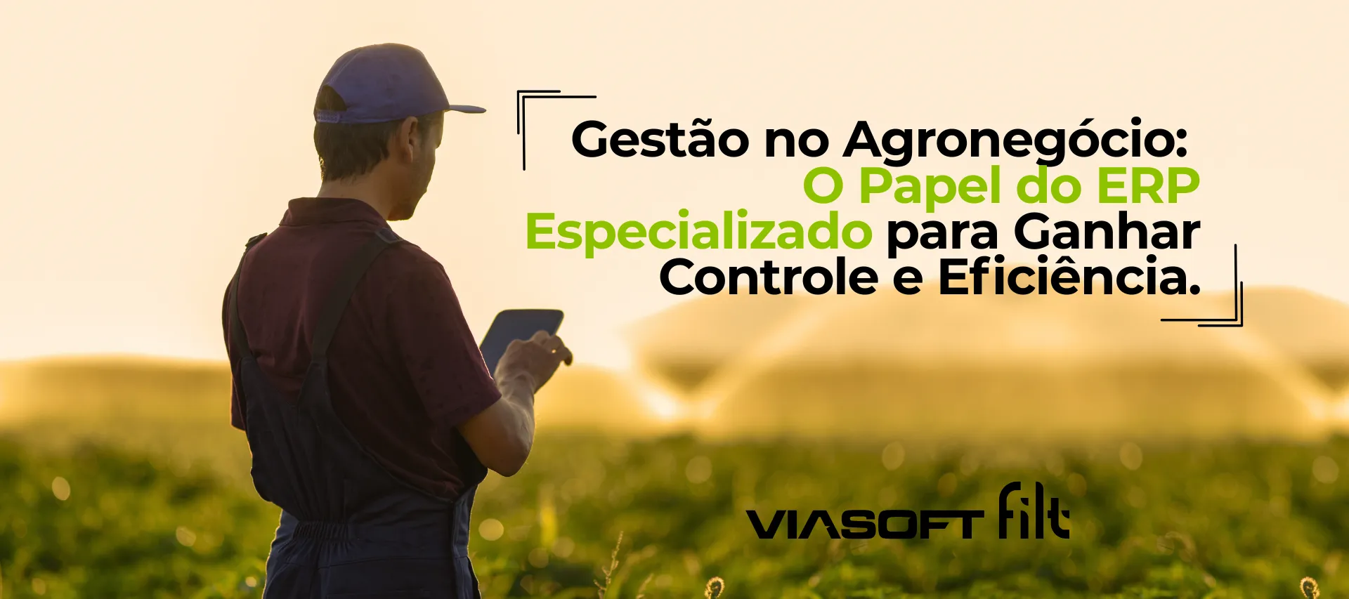 Gestão no agronegócio: o papel do ERP especializado para ganhar controle e eficiência