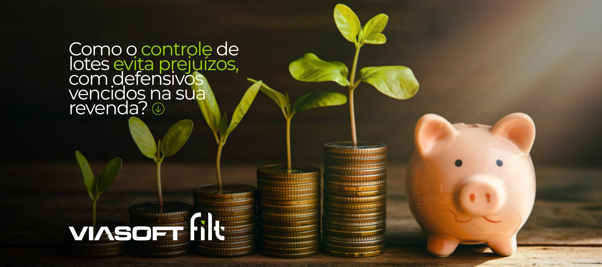 Como o controle de lotes evita prejuízos com defensivos vencidos na sua revenda?